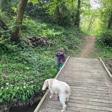 Le Forest